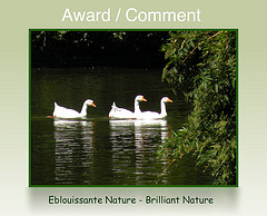 DSCN2984award