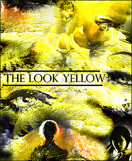 The look yellow colection - Diaz de vivar gustavo