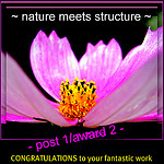 ~ nature meets structure ~