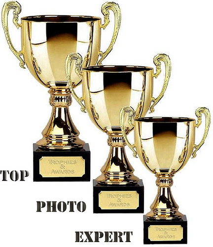AWARD AT LEVEL 2